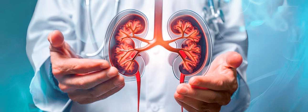 spx-clinica-spx-imagem-especialistas-diagnostico-cancer-renal