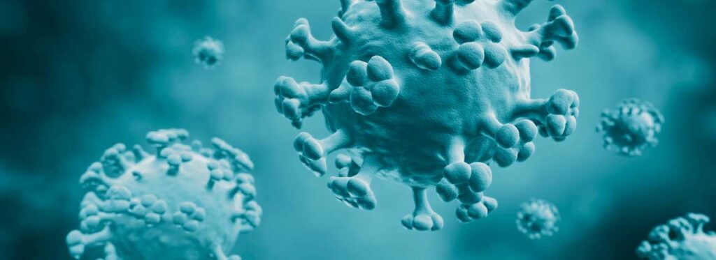 spx-clinica-spx-imagem-nova-pandemia-de-gripe-aviaria