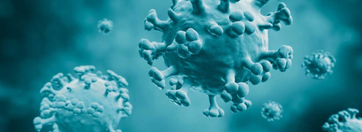 spx-clinica-spx-imagem-nova-pandemia-de-gripe-aviaria