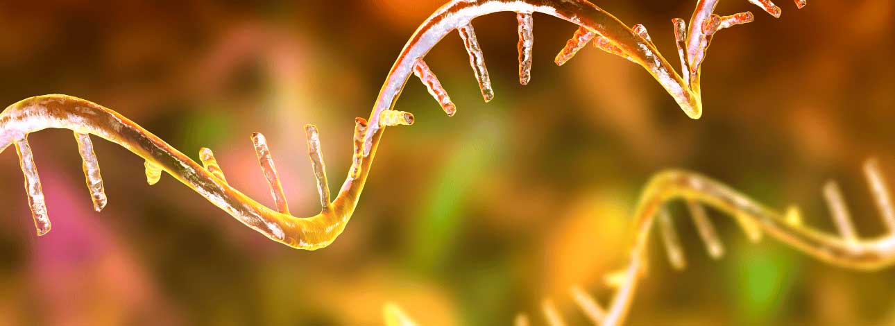 spx-clinica-spx-imagem-premio-o-que-e-o-microrna