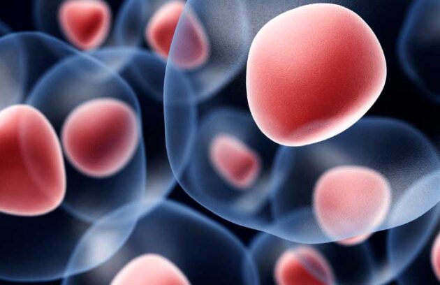 spx-clinica-spx-imagem-celulas-tronco-podem-ajudar-a-curar-o-diabetes