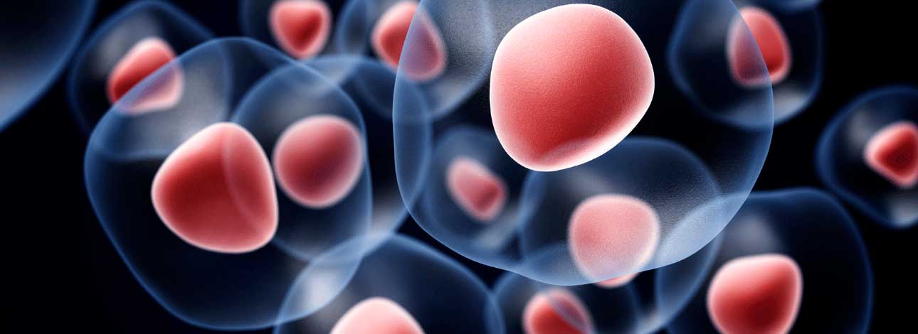 spx-clinica-spx-imagem-celulas-tronco-podem-ajudar-a-curar-o-diabetes