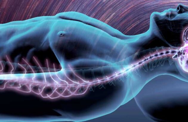 spx-clinica-spx-imagem-atividade-no-cerebro-apos-a-morte-capa