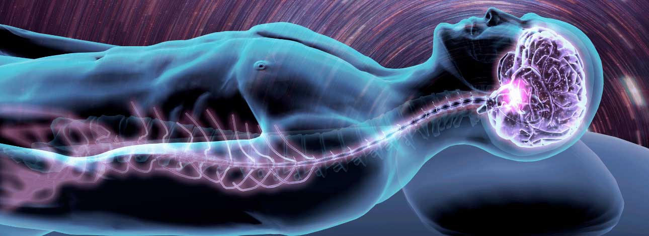 spx-clinica-spx-imagem-atividade-no-cerebro-apos-a-morte-capa