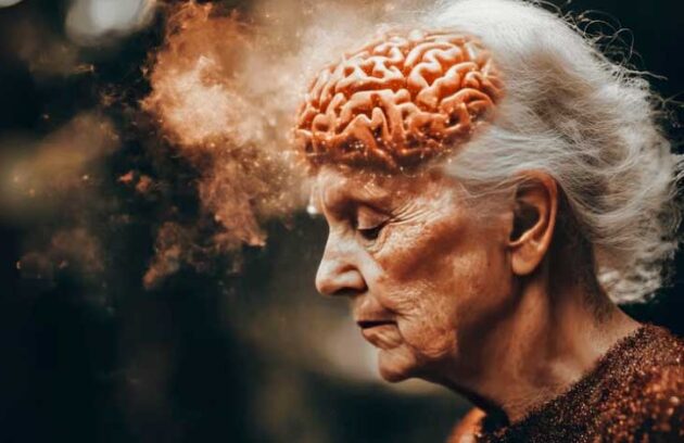 spx-clinica-spx-imagem-casos-de-demencia-podem-ser-evitados