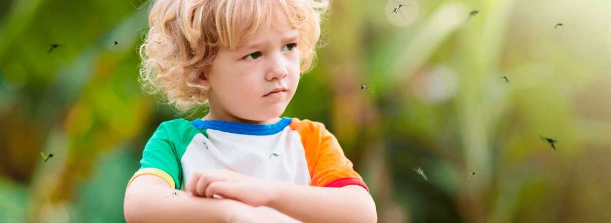 spx-clinica-spx-imagem-como-evitar-picadas-de-mosquitos-no-verao