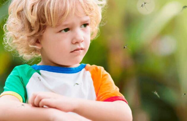 spx-clinica-spx-imagem-como-evitar-picadas-de-mosquitos-no-verao