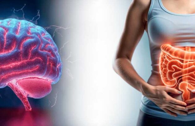 spx-clinica-spx-imagem-como-o-intestino-impacta-o-aprendizado-e-a-memoria