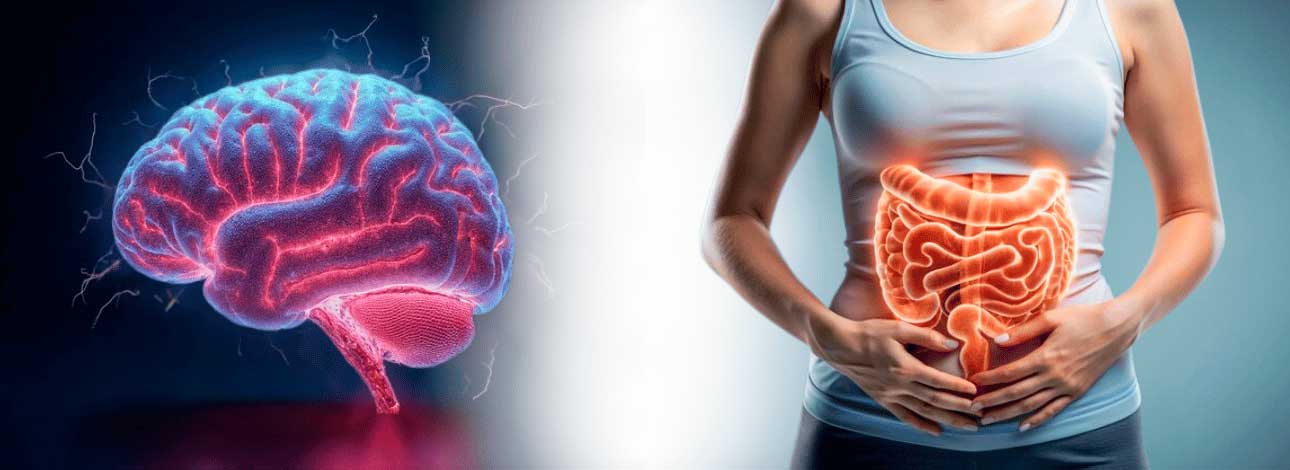 spx-clinica-spx-imagem-como-o-intestino-impacta-o-aprendizado-e-a-memoria