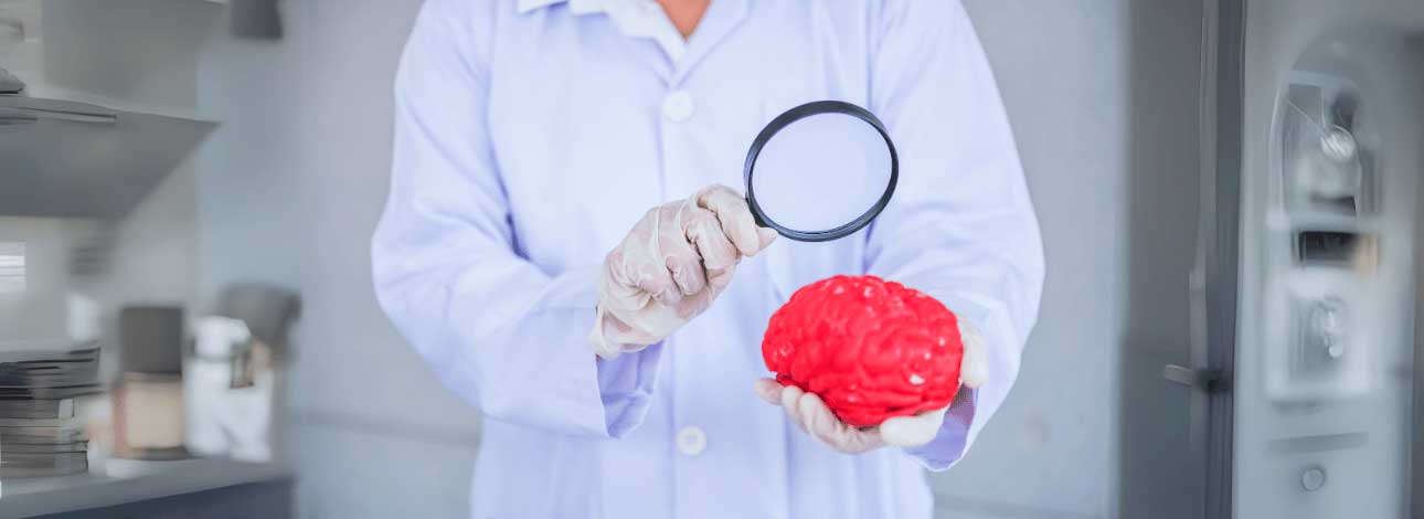spx-clinica-spx-imagem-existe-atividade-no-cerebro-apos-a-morte