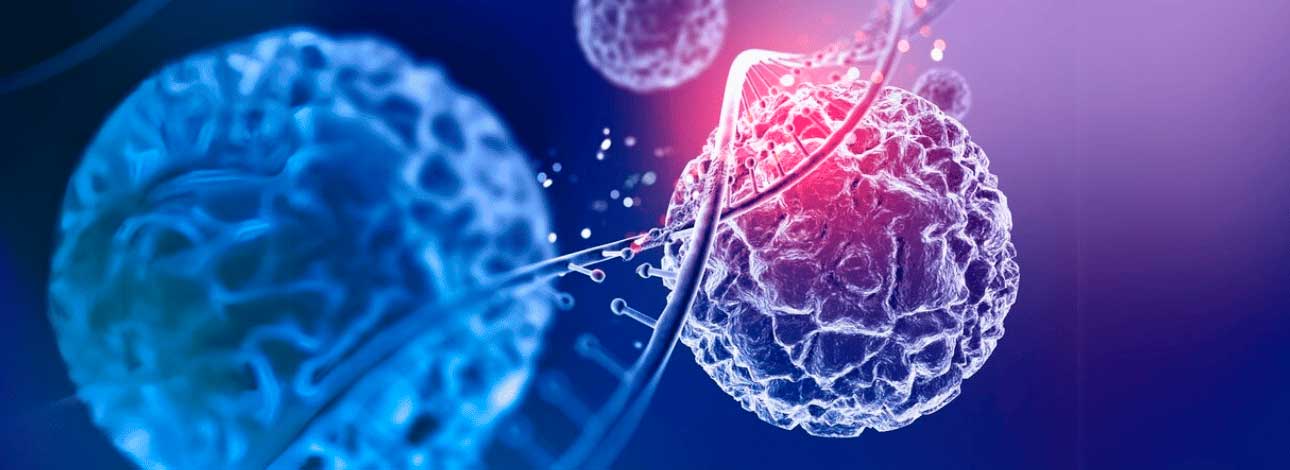 spx-clinica-spx-imagem-quais-exames-mais-importantes-para-prevencao-do-cancer
