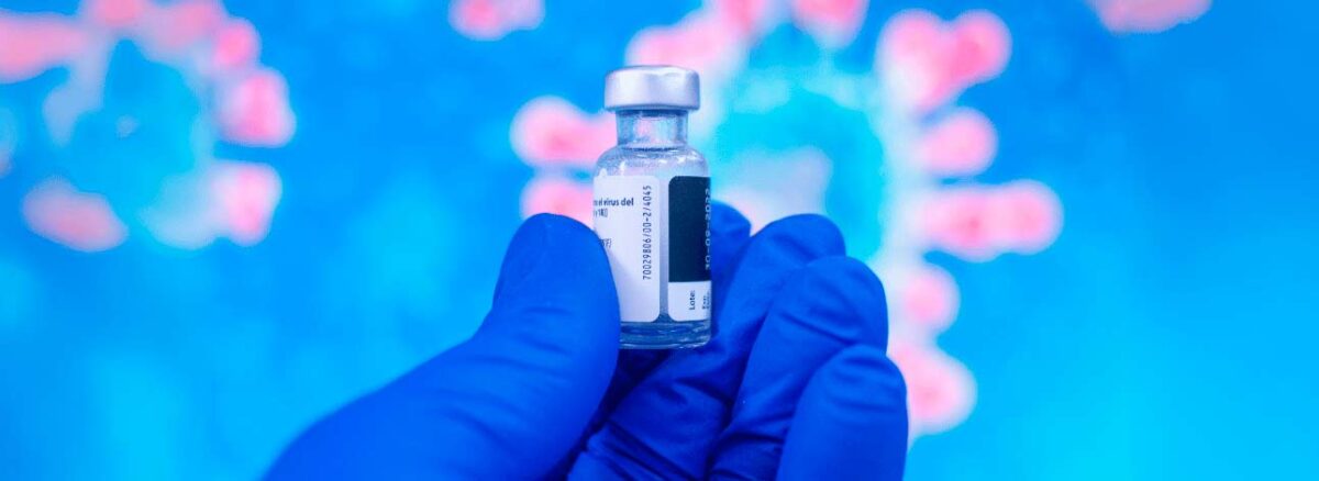 spx-clinica-spx-imagem-vacinacao-pode-prevenir-pandemia-de-gripe-aviaria