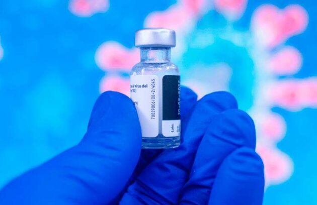 spx-clinica-spx-imagem-vacinacao-pode-prevenir-pandemia-de-gripe-aviaria