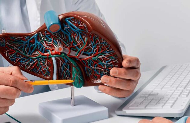 spx-clinica-spx-imagem-avanco-no-transplante-de-figado