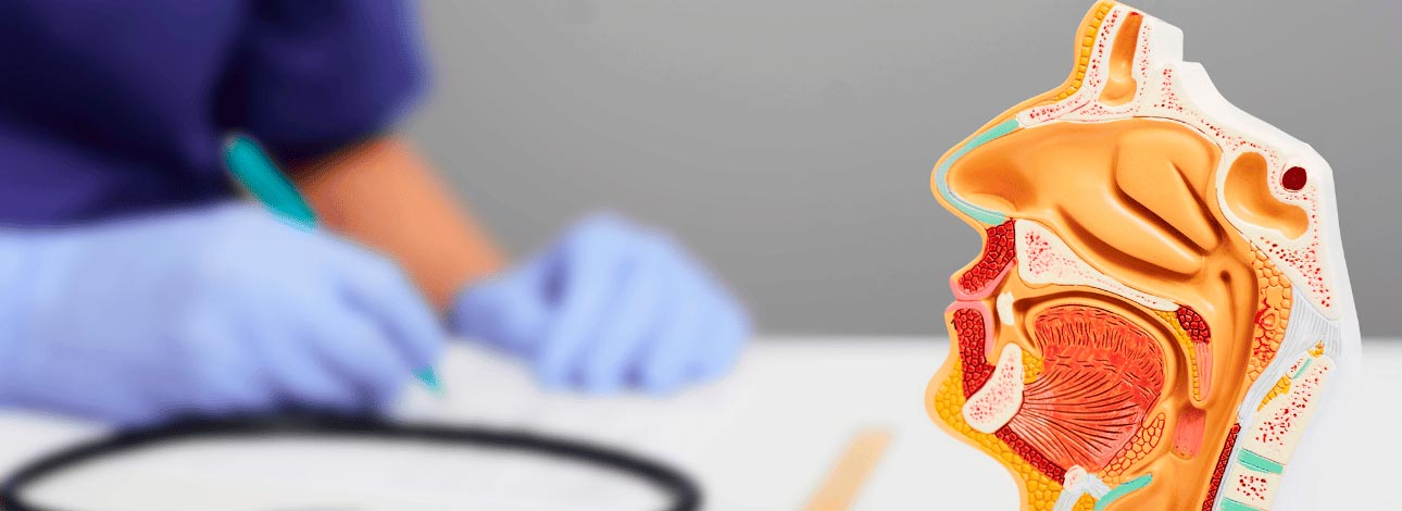 spx-clinica-spx-imagem-sinusite-e-rinite-otorrinolaringologista
