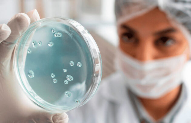 spx-clinica-spx-imagem-nova-terapia-celular-contra-o-cancer