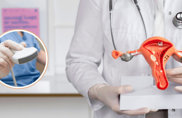 spx-clinica-spx-imagem-para-que-serve-o-ultrassom-transvaginal