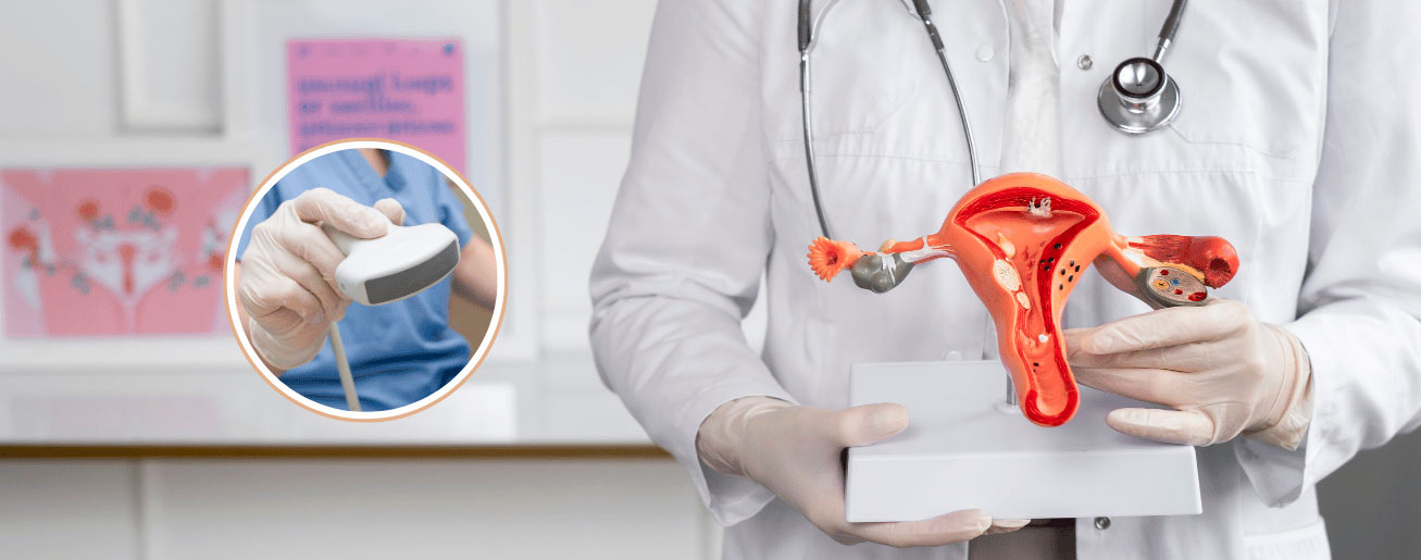 spx-clinica-spx-imagem-para-que-serve-o-ultrassom-transvaginal