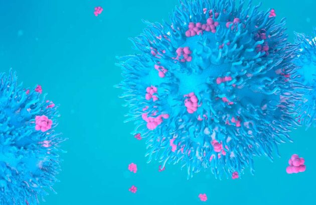 spx-clinica-spx-imagem-proteina-pode-acelerar-crescimento-do-cancer