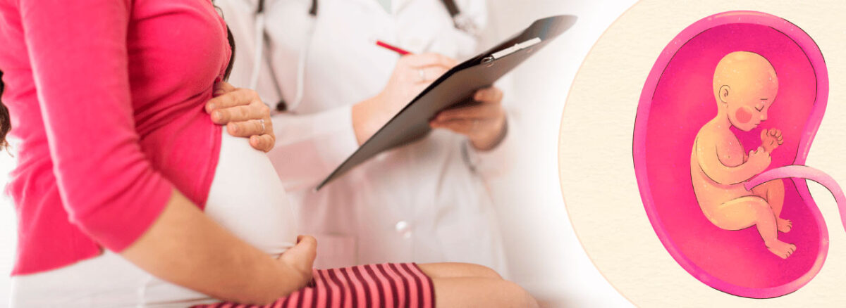 spx-clinica-spx-imagem-importancia-de-exames-de-pre-natal-para-o-bebe