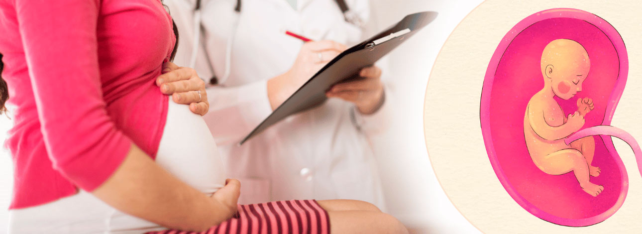 spx-clinica-spx-imagem-importancia-de-exames-de-pre-natal-para-o-bebe