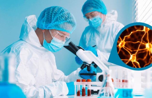 spx-clinica-spx-imagem-minicerebros-para-investigar-a-depressao