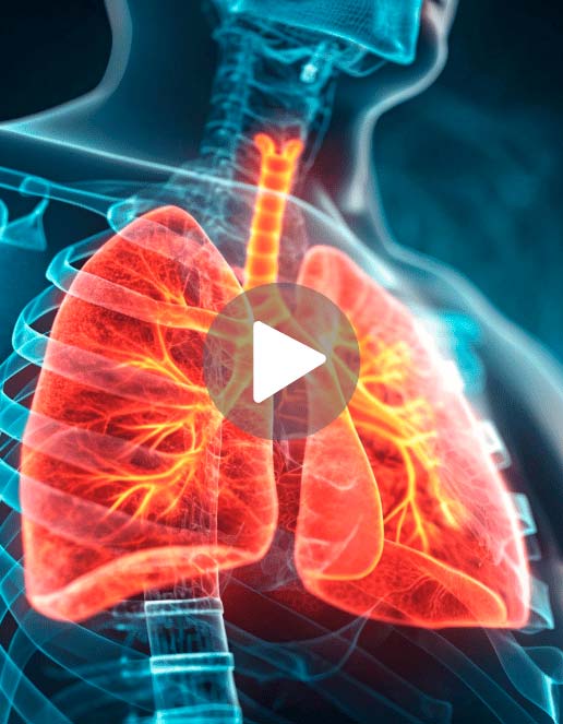 Imagem representativa do sistema respiratório