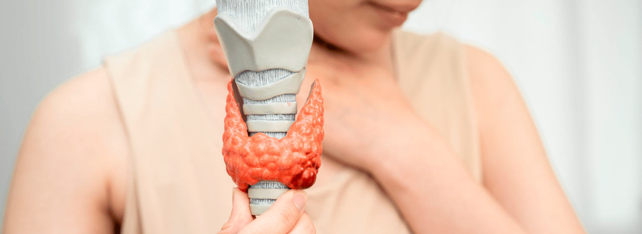 spx-clinica-spx-imagem-importancia-harmonia-ultrassom-de-tireoide