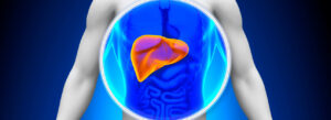 Fígado em destaque