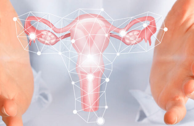 Mãos de um médico com a representação de um ovário