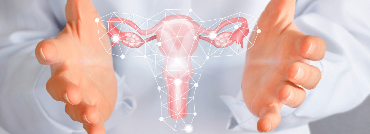 Mãos de um médico com a representação de um ovário