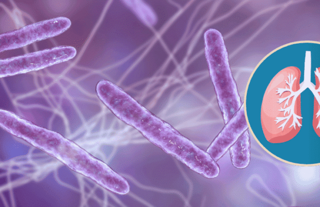 Bactéria da tuberculose do corpo