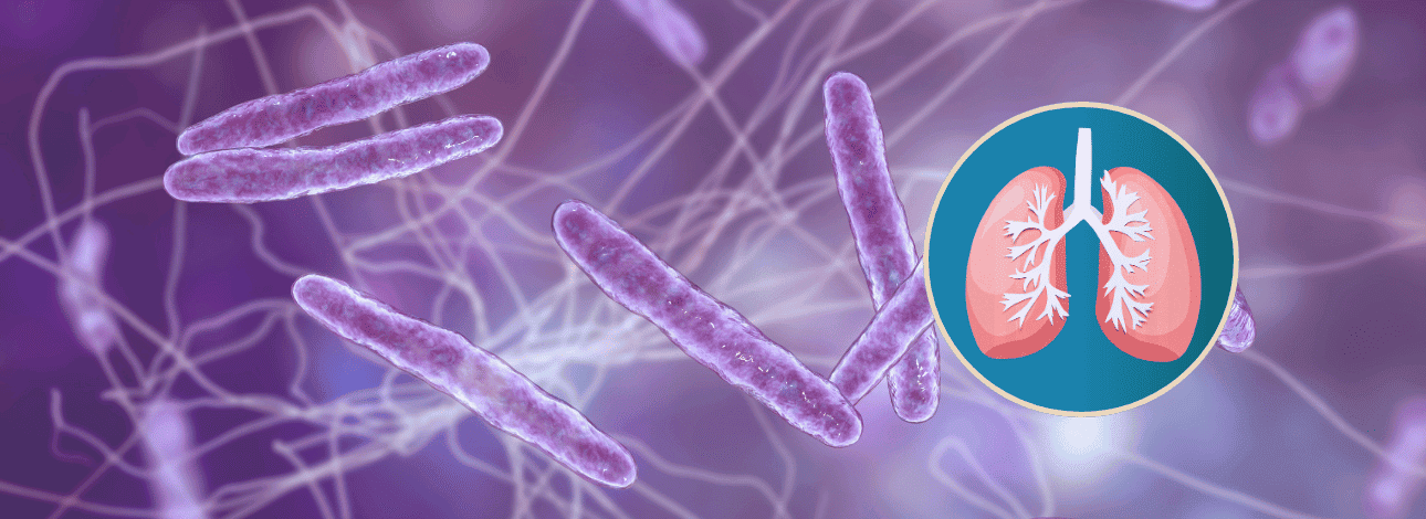 Bactéria da tuberculose do corpo