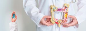 Médico segurando a ilustração de um intestino