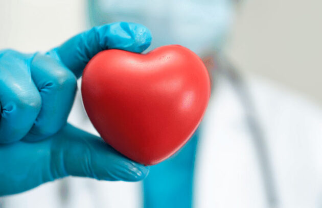 Médico usando luvas segurando a figura de um coração