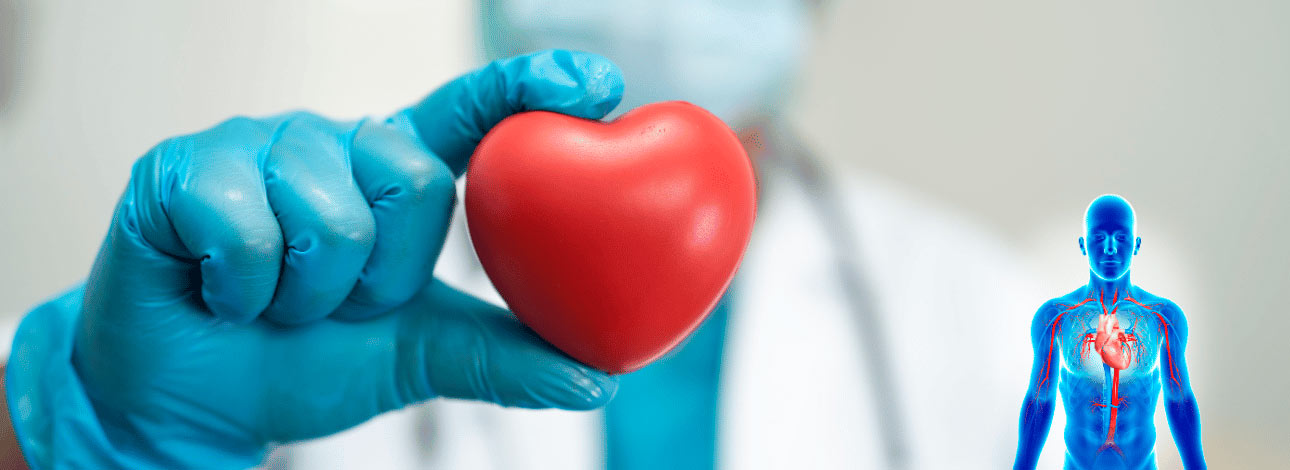 Médico usando luvas segurando a figura de um coração