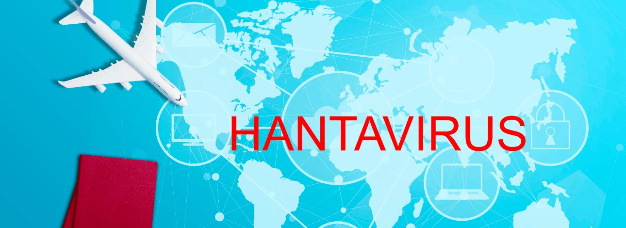 Imagem ilustrativa de um avião no mapa mundi, com os dizeres 'hantavírus' no centro