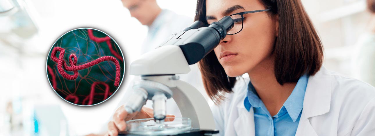 Especialista em laboratório analisando vírus